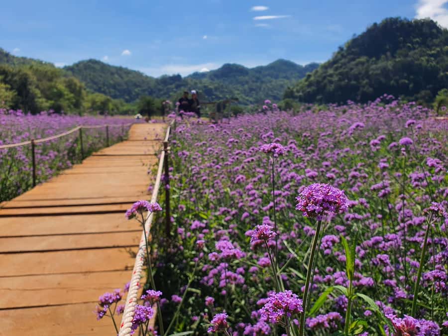 Khao Yai: Private Custom Tour with Driver From Bangkok - Viewpoints, animals, and the value of slowing down