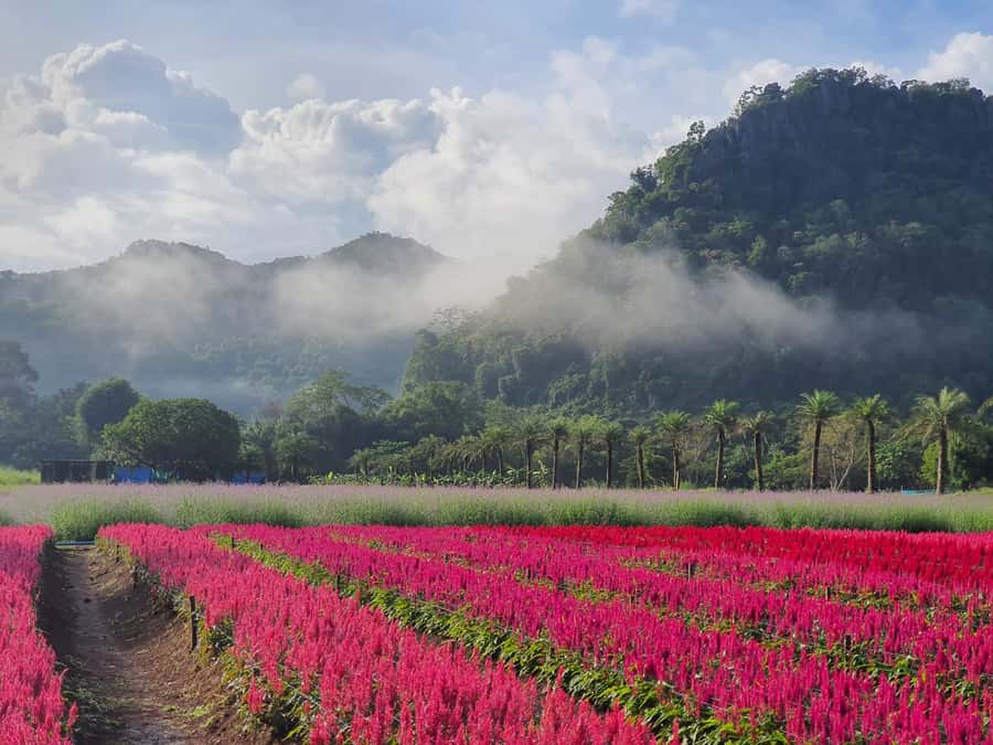 Khao Yai: Private Custom Tour with Driver From Bangkok - Optional activities and what to prioritize