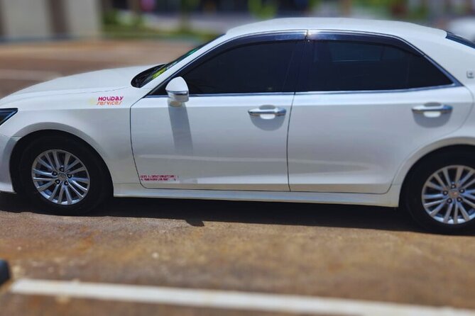 Kingston Airport Private Car to all hotels islandwide 1-3 pax - What happens after you land at Kingston airport
