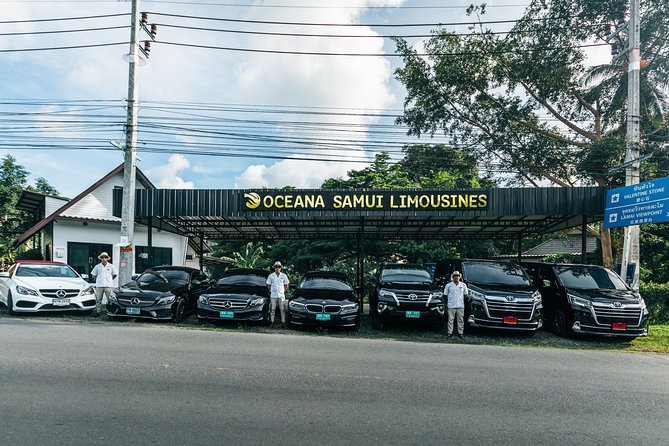Koh Samui Island Half-Day Private Tour by Luxury Vehicle - Big Buddha at Wat Phra Yai