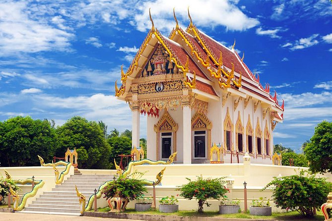 Koh Samui Private Customized Tour with Driver - The language barrier is the main weakness