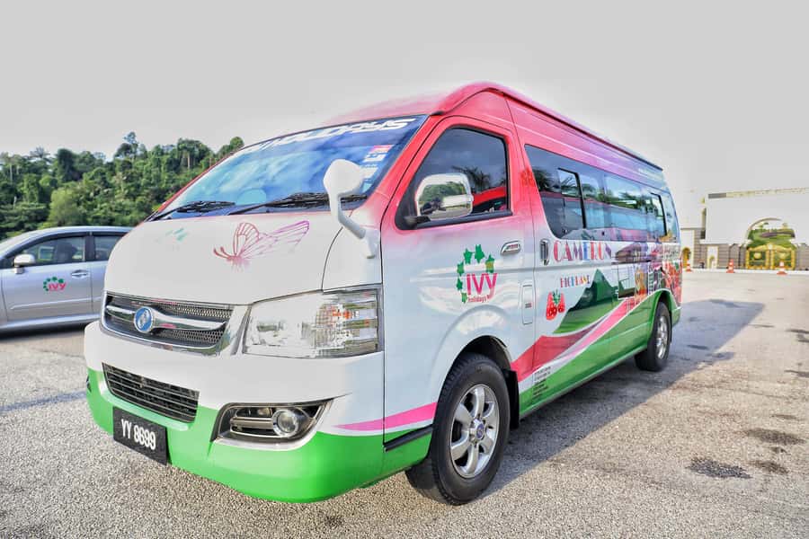 Kuala Lumpur: Sightseeing by Private Vehicle with Driver - Comfort, space, and the van itself