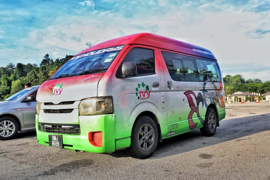 Kuala Lumpur: Sightseeing by Private Vehicle with Driver - Who should book this experience