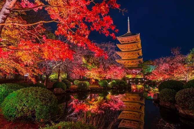 Kyoto and Nara Private Car Tour with a Local English Guide Driver - A Private Car Makes Kyoto Easier