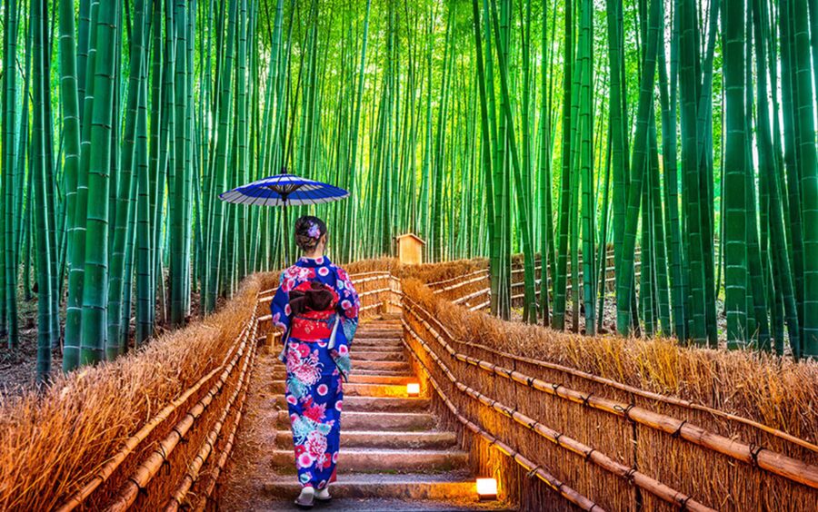 Kyoto Day Tour with Certified Tour Guide & Luxury vehicle - A private Kyoto day built around your priorities