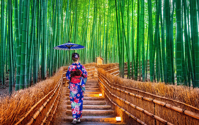 Kyoto Day Tour with Certified Tour Guide & Luxury vehicle - What the $490 price really buys