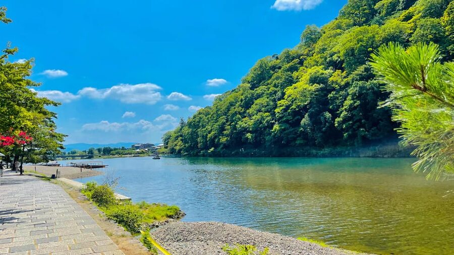 Kyoto Day Tour with Certified Tour Guide & Luxury vehicle - Ginkaku-ji: a quieter counterpoint to the Golden Pavilion