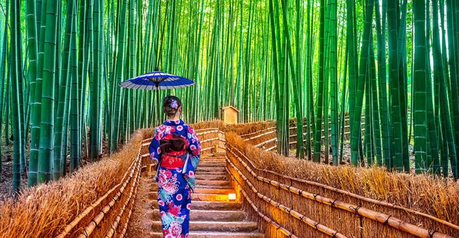 Kyoto Day Tour with Certified Tour Guide & Luxury vehicle - Arashiyama: bamboo, river views, and an early test of timing