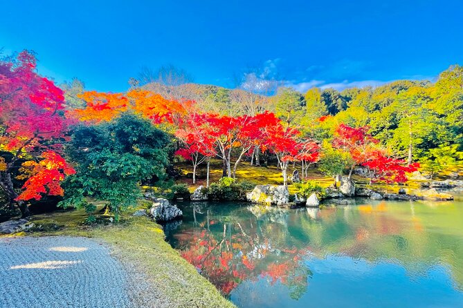 Kyoto Highlights Private Car Day Tour with English Speaking Guide - The guide and the value of flexibility
