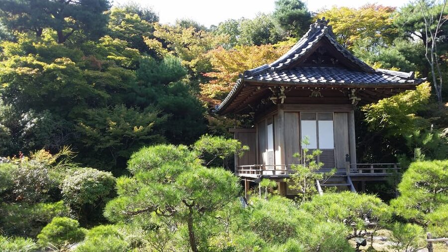 Kyoto: Immersive Arashiyama & Fushimi Inari by Private Car - Key points at a glance