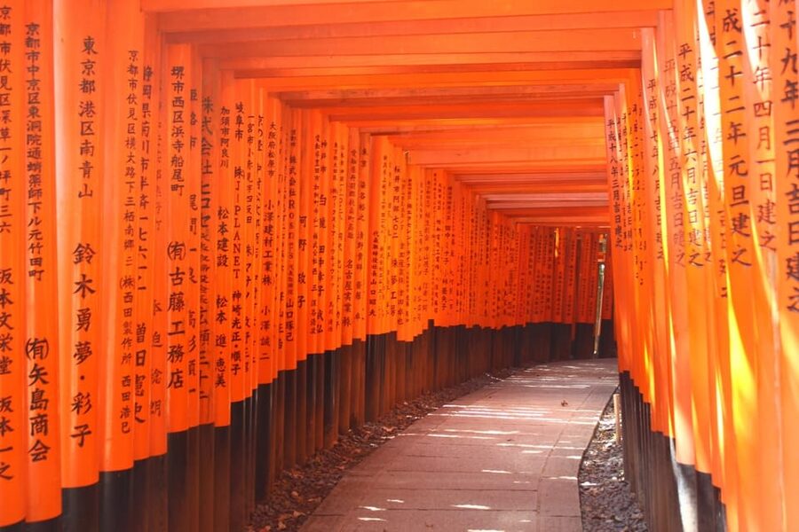 Kyoto: Immersive Arashiyama & Fushimi Inari by Private Car - Guides, vehicles, and the human side of the day