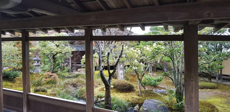 Kyoto: Immersive Arashiyama & Fushimi Inari by Private Car - Okochi Sanso and matcha with a view