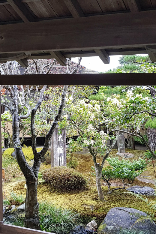 Kyoto: Immersive Arashiyama & Fushimi Inari by Private Car - River walking and free time in Arashiyama