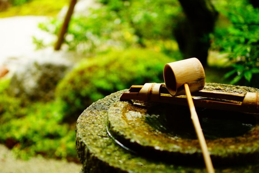 Kyoto: Immersive Arashiyama & Fushimi Inari by Private Car - Ryōan-ji and the discipline of a Zen garden