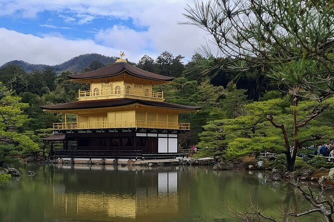 Kyoto&Nara&Osaka: One day private Customized Car tour - Key points to know before booking