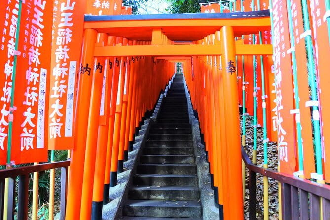 Kyoto&Nara&Osaka: One day private Customized Car tour - What the driver-guide adds to the day