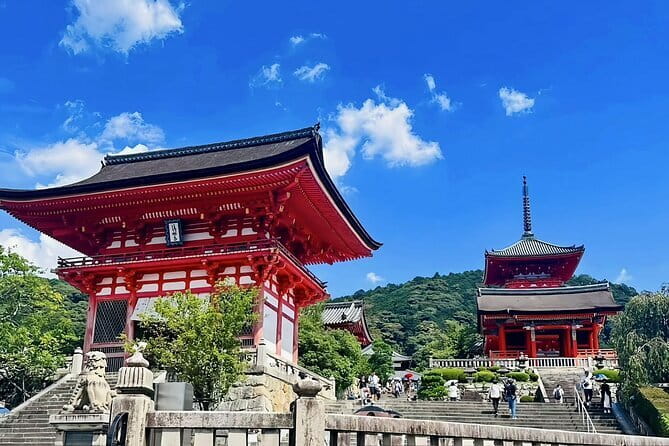 Kyoto&Nara&Osaka: One day private Customized Car tour - What $418.47 means for a group of five