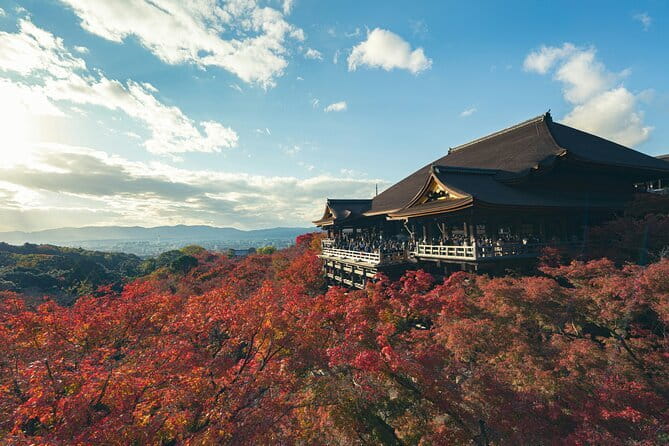 Kyoto&Nara&Osaka: One day private Customized Car tour - Kyoto, Nara, Osaka, and the extra-distance question
