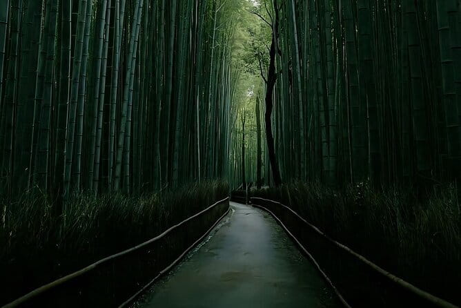 Kyoto&Nara&Osaka: One day private Customized Car tour - Fushimi Inari Shrine and its red torii paths