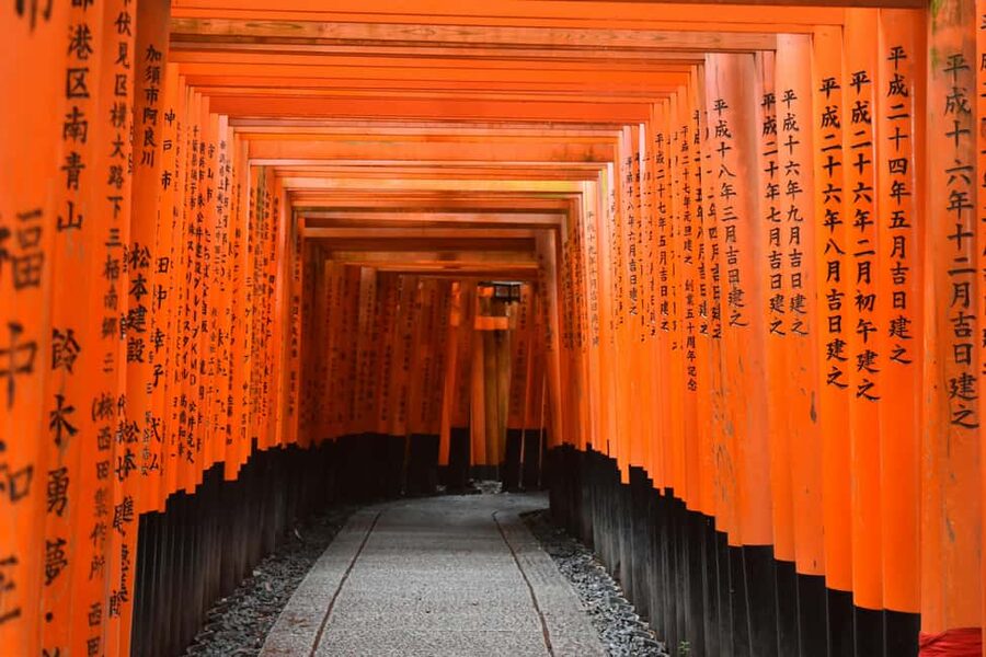 Kyoto & Nara Private Luxury Car Tour: Encounter with Deer - Why this Kyoto and Nara day works