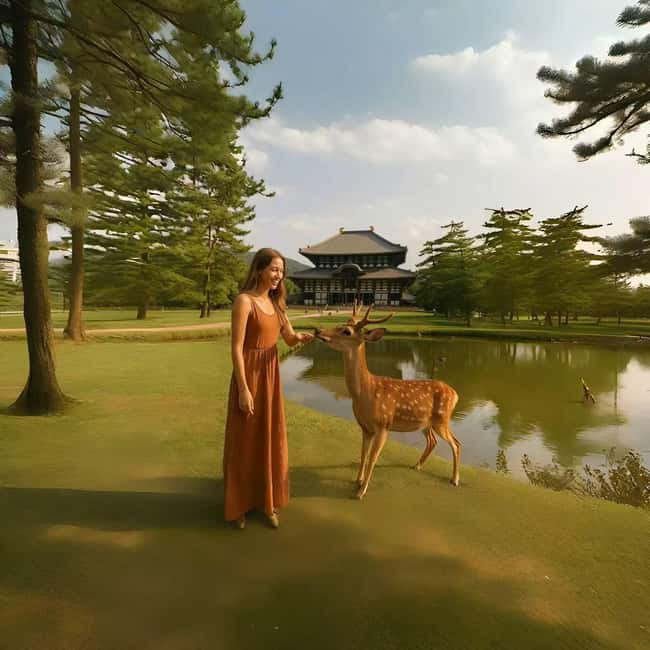 Kyoto & Nara Private Luxury Car Tour: Encounter with Deer - Nara Park and the deer encounter