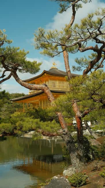 Kyoto & Nara Private Luxury Car Tour: Encounter with Deer - Timing, extra charges, and what is included
