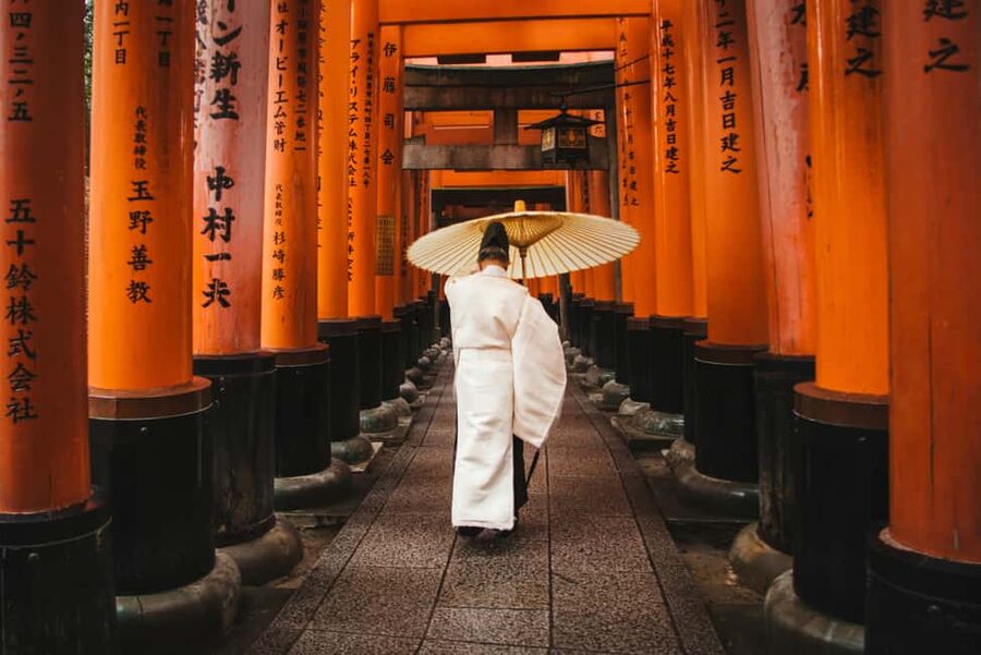 Kyoto & Nara Private Luxury Car Tour: Encounter with Deer - Kinkakuji, Kyoto’s golden opening act