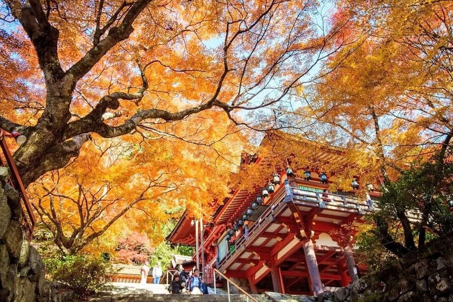 Kyoto/Osaka: Nara Customizable Self-Guided Tour with Driver - Kasuga-taisha brings you into a quieter setting