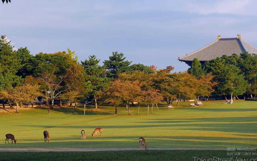 Kyoto/Osaka: Nara Customizable Self-Guided Tour with Driver - Mount Wakakusa adds views without another major temple