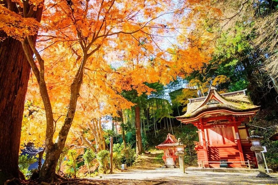 Kyoto/Osaka: Nara Customizable Self-Guided Tour with Driver - Heijo Palace Site gives the day historical scale