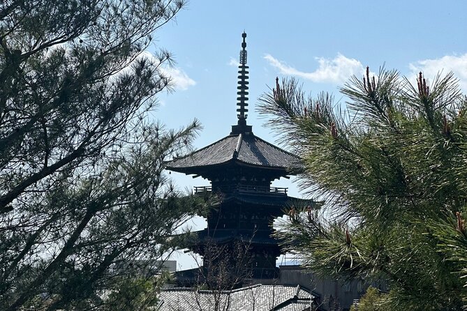 Kyoto Private Customizable Day Trip With English chauffeur - A private car is the smart part of this Kyoto day