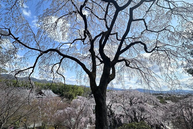 Kyoto Private Customizable Day Trip With English chauffeur - Sanjusangendo brings a powerful indoor visit
