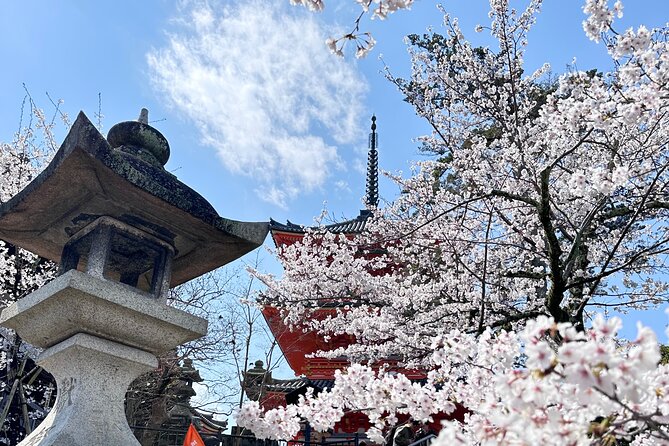 Kyoto Private Customizable Day Trip With English chauffeur - Ginkaku-ji shows a quieter side of Zen Kyoto