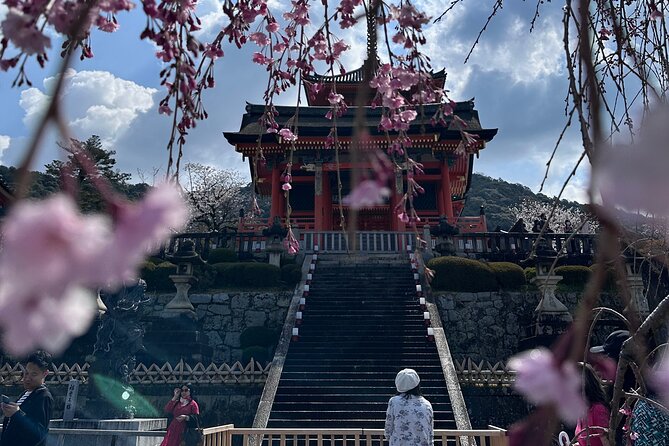 Kyoto Private Customizable Day Trip With English chauffeur - Kiyomizu-dera gives you Kyoto from above
