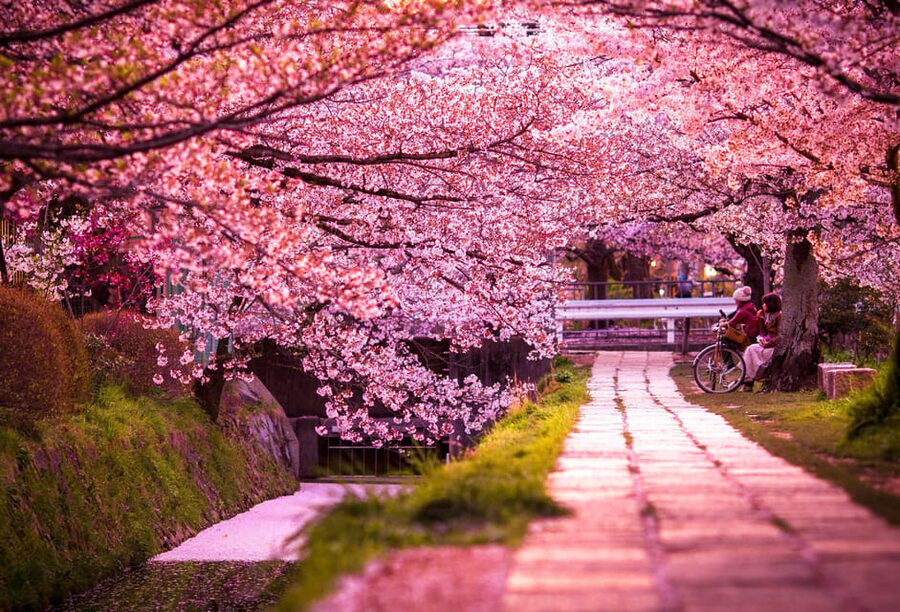 Kyoto: Private Highlights Tour with Guide and Luxury Vehicle - Ten hours sounds generous, but the route is ambitious