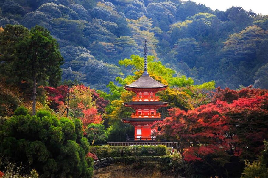 Kyoto: Private Highlights Tour with Guide and Luxury Vehicle - Fushimi Inari is more than the first red gate