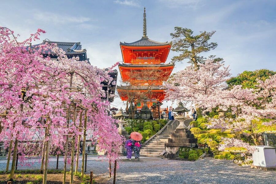 Kyoto: Private Highlights Tour with Guide and Luxury Vehicle - Gion and Nishiki Market show a different Kyoto