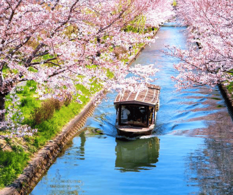 Kyoto: Private Highlights Tour with Guide and Luxury Vehicle - What the guide adds to the day
