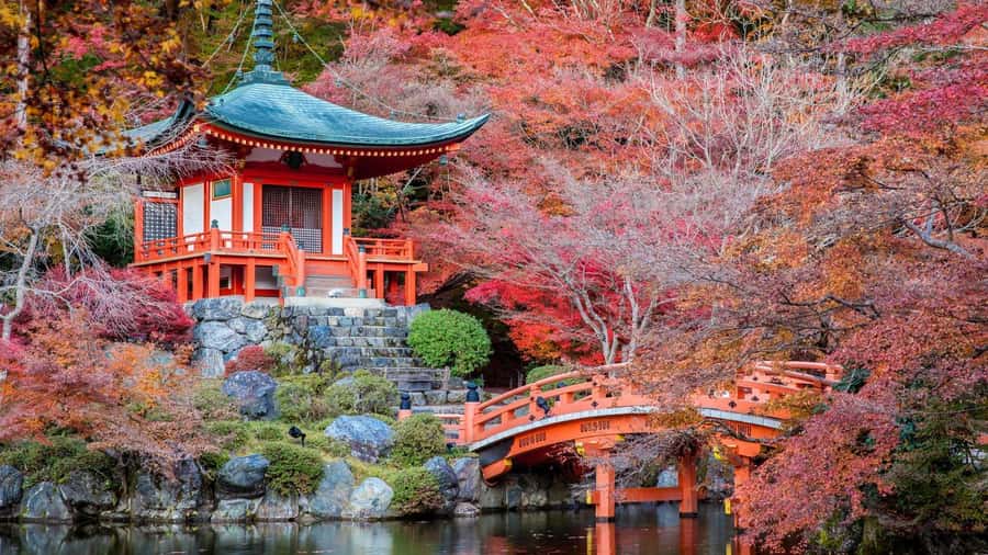 Kyoto:Private Tour/Luxury Vehicle with Guide & photographer - Photography that works for real people