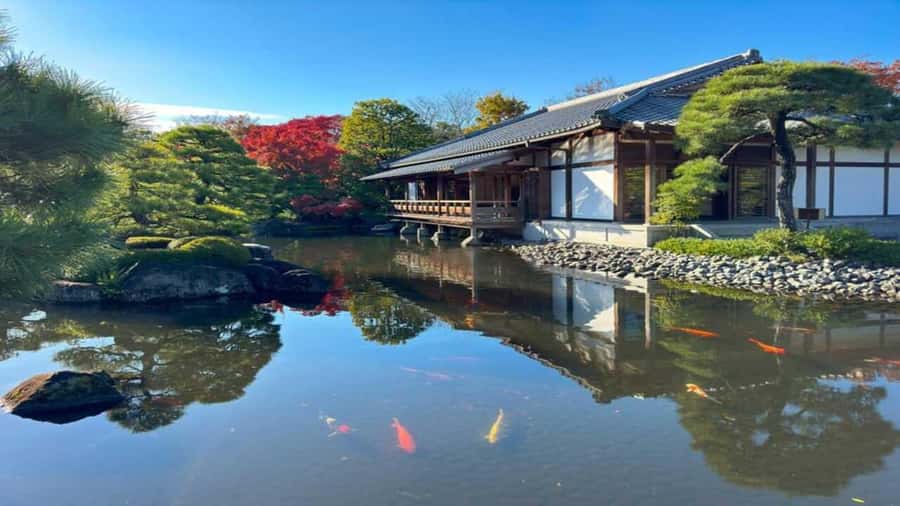 Kyoto:Private Tour/Luxury Vehicle with Guide & photographer - Heat, traffic, and the pace of one day