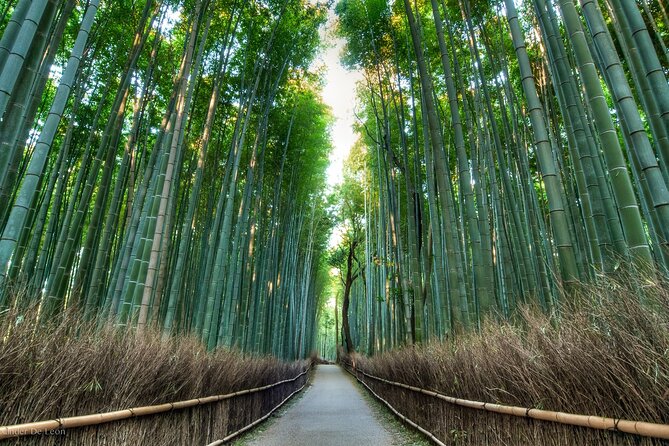 Kyoto tour with English Speaking Chauffeur - Ginkakuji favors quiet design over silver
