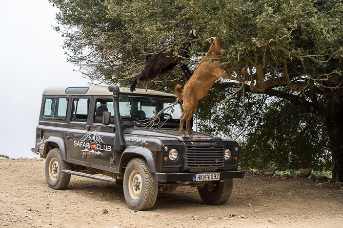 Land Rover Safari Minoan Route with driver and lunch - Key points to know before you book