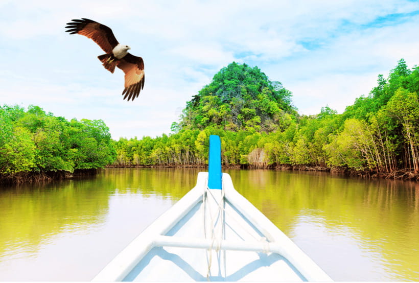 Langkawi: Half- or Full-Day Private Car Tour of Highlights - Durian Perangin Waterfalls and the weather question