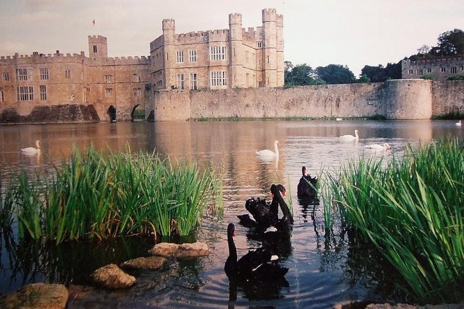 Leeds Castle, Canterbury and White Cliffs of Dover - Driver Guide - Who will enjoy this day most?
