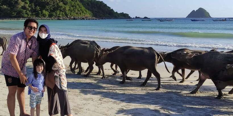 Lombok Private Car with Driver - Beaches, restaurants, and countryside stops