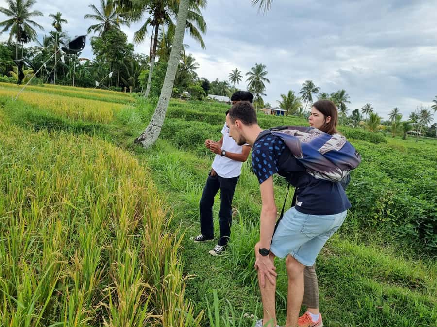 Lombok: Private Customizable Tour with Driver-Guide - Key points to know before booking