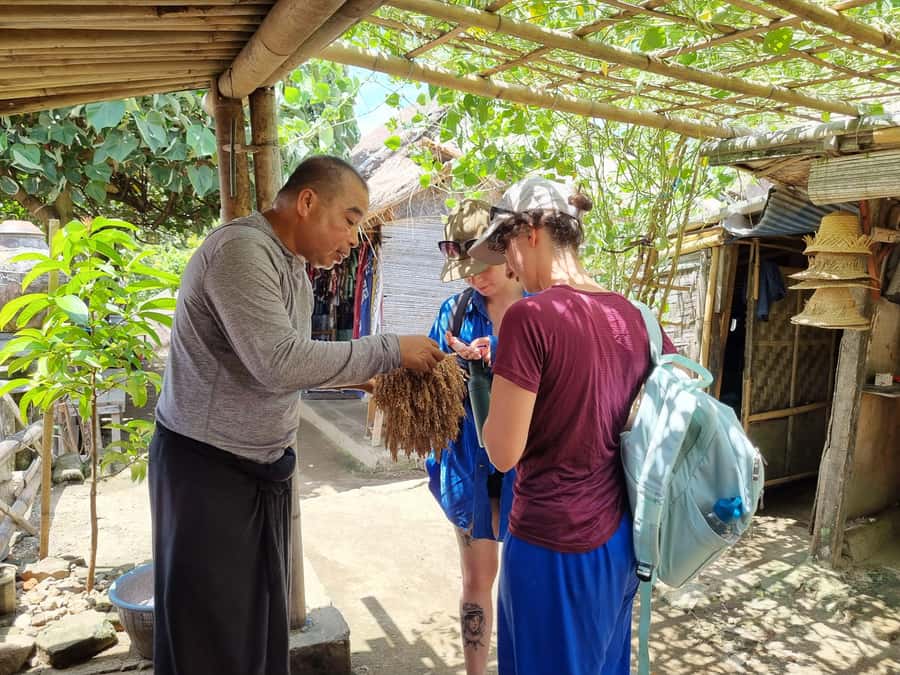 Lombok: Private Customizable Tour with Driver-Guide - Why this private Lombok tour works so well