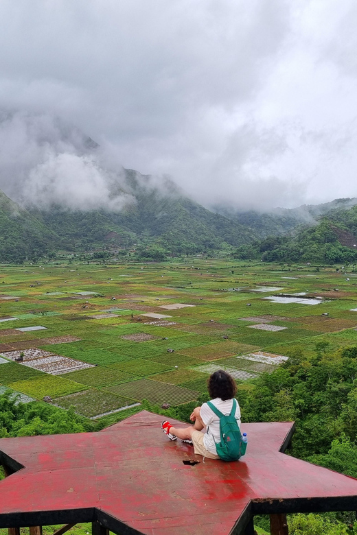 Lombok: Private Customizable Tour with Driver-Guide - Markets, fruit, and local food stops
