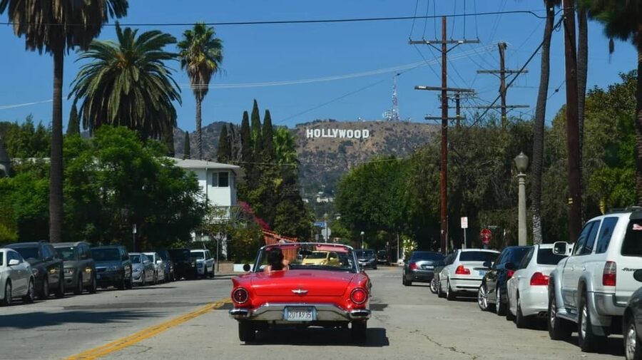 Los Angles: Private Customized Day Tour with Driver - What the driver does, and what you need to do