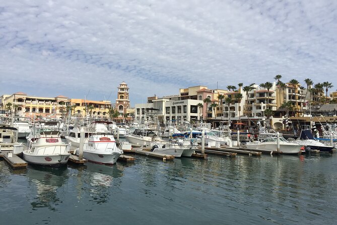 Los Cabos Private Chauffeur Service - Who should book this service